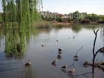 Austin Roberts Bird Sanctuary Photo1