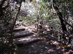 Pretoria National Botanical Gardens photo1