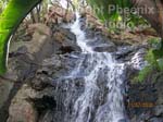 Pretoria National Botanical Gardens photo3