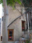 duncan yard photo 2