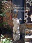 duncan yard photo 4