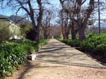 groot constantia wine cellars Photo1