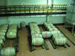 groot constantia wine cellars Photo3