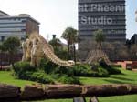 transvaal museum photo1