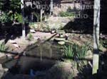 world of birds photo1