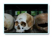 cradle of humankind tourist attractions