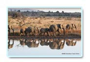 pilanesberg attractions